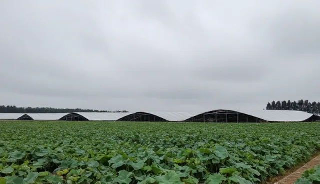 技术转让方案设计中的使用与维护建议